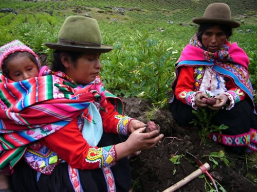 Regina Illamarca y Natividad Pilco, dos mujeres indígenas de los Andes de Perú, que como muchas son preservadoras de las semillas nativas de su región. Crédito: Milagros Salazar/IPS