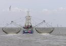 “Flota fantasma” depreda los mares sudamericanos