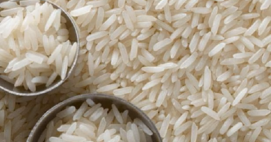 El FA y el PIT-CNT: ¿Otra vez arroz?