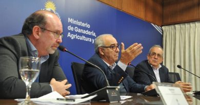 Uruguay ingresa a China con harinas de colza y soja Uruguay ingresa a China con harinas de colza y soja