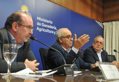 Uruguay ingresa a China con  harinas de colza y soja