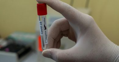 Se confirma la circulación de las variantes Frankenstein y Nimbus en nuestro país Se confirma la circulación de las variantes Frankenstein y Nimbus en nuestro país