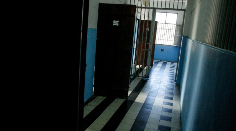 Avances desde los NiNi ?