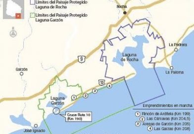 Un aeropuerto entre áreas protegidas: otro proyecto que genera debate. Un aeropuerto entre áreas protegidas: otro proyecto que genera debate.